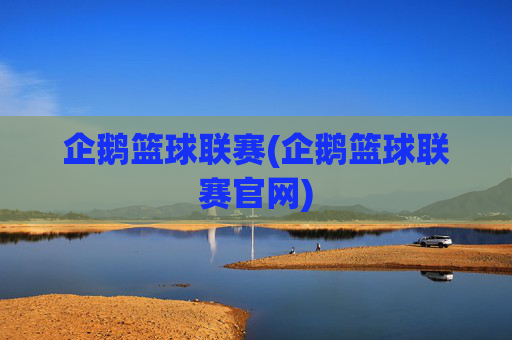 企鹅篮球联赛(企鹅篮球联赛官网)