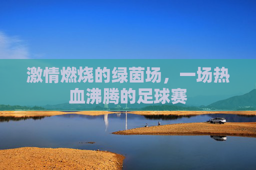 激情燃烧的绿茵场，一场热血沸腾的足球赛