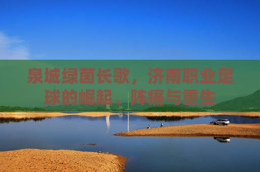 泉城绿茵长歌，济南职业足球的崛起、阵痛与重生