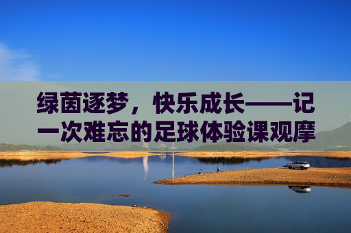 绿茵逐梦，快乐成长——记一次难忘的足球体验课观摩心得