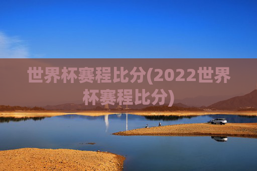 世界杯赛程比分(2022世界杯赛程比分)