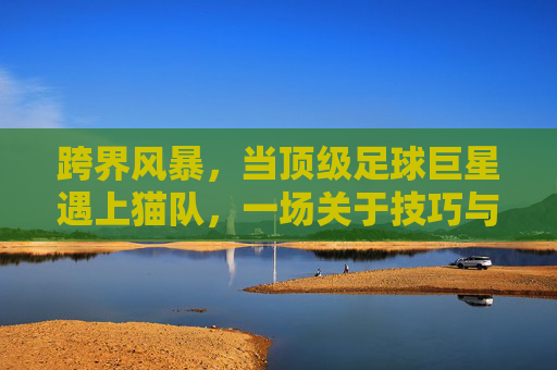 跨界风暴，当顶级足球巨星遇上猫队，一场关于技巧与爪子的较量