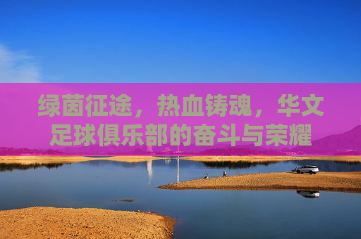 绿茵征途,热血铸魂,华文足球俱乐部的奋斗与荣耀