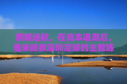 鹏城迷航,在资本退潮后,谁来拯救深圳足球的主教练?