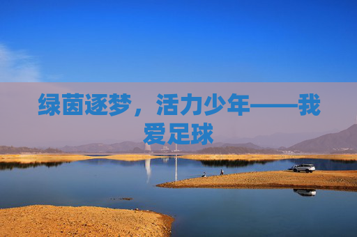 绿茵逐梦，活力少年——我爱足球
