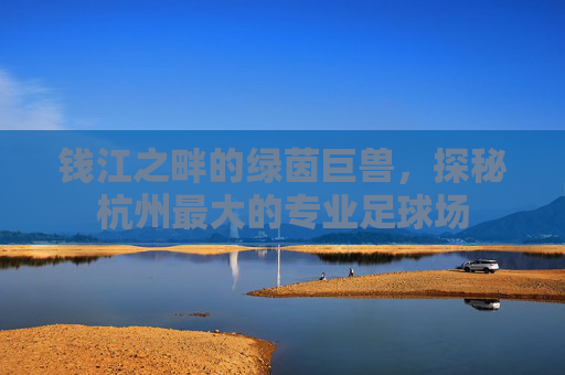 钱江之畔的绿茵巨兽,探秘杭州最大的专业足球场
