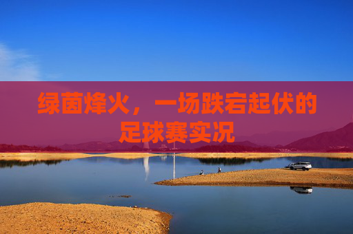 绿茵烽火,一场跌宕起伏的足球赛实况