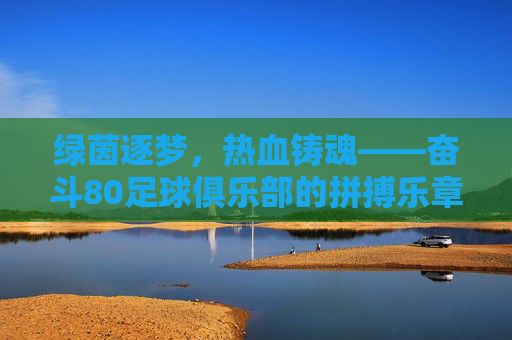 绿茵逐梦，热血铸魂——奋斗80足球俱乐部的拼搏乐章