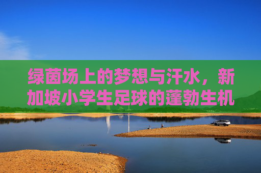 绿茵场上的梦想与汗水,新加坡小学生足球的蓬勃生机
