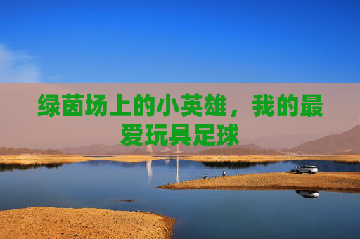 绿茵场上的小英雄，我的最爱玩具足球