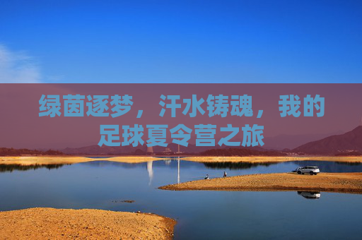 绿茵逐梦，汗水铸魂，我的足球夏令营之旅