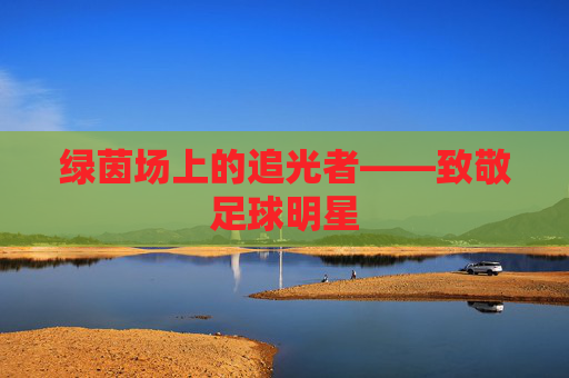 绿茵场上的追光者——致敬足球明星