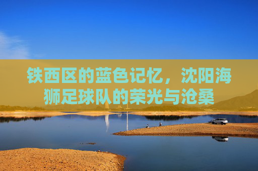 铁西区的蓝色记忆,沈阳海狮足球队的荣光与沧桑