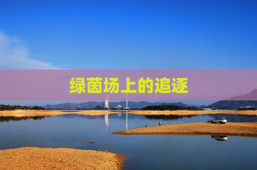 绿茵场上的追逐
