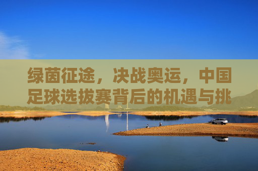 绿茵征途，决战奥运，中国足球选拔赛背后的机遇与挑战