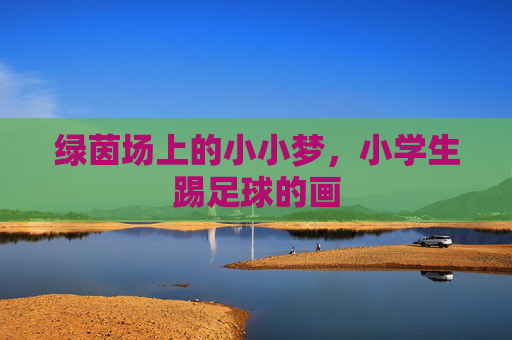 绿茵场上的小小梦，小学生踢足球的画
