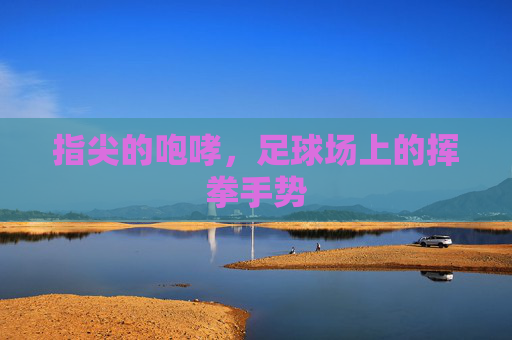 指尖的咆哮,足球场上的挥拳手势