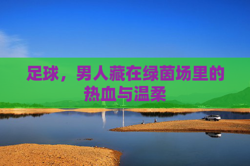 足球，男人藏在绿茵场里的热血与温柔