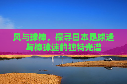 风与球棒,探寻日本足球迷与棒球迷的独特光谱