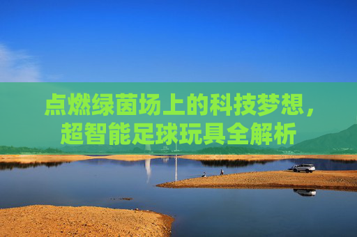 点燃绿茵场上的科技梦想,超智能足球玩具全解析