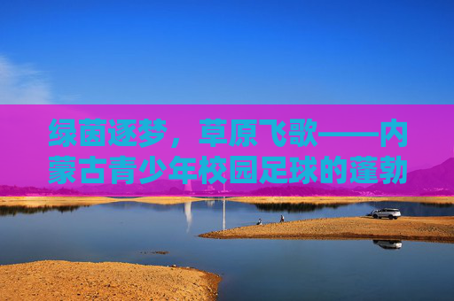 绿茵逐梦，草原飞歌——内蒙古青少年校园足球的蓬勃生机