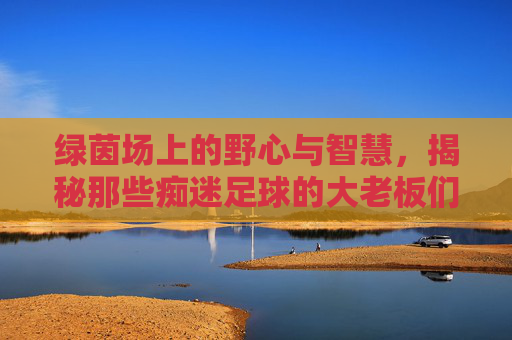 绿茵场上的野心与智慧,揭秘那些痴迷足球的大老板们