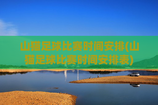 山猫足球比赛时间安排(山猫足球比赛时间安排表)