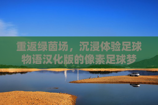 重返绿茵场,沉浸体验足球物语汉化版的像素足球梦