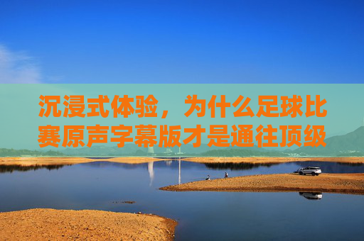 沉浸式体验,为什么足球比赛原声字幕版才是通往顶级赛场最纯粹的通道