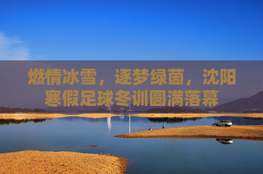 燃情冰雪，逐梦绿茵，沈阳寒假足球冬训圆满落幕