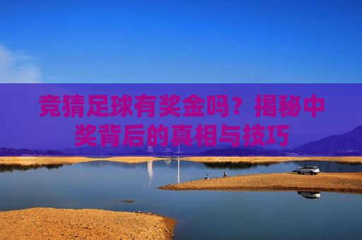 竞猜足球有奖金吗?揭秘中奖背后的真相与技巧