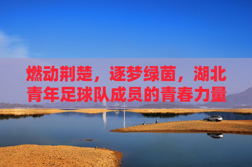 燃动荆楚,逐梦绿茵,湖北青年足球队成员的青春力量