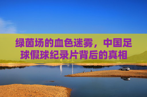 绿茵场的血色迷雾,中国足球假球纪录片背后的真相
