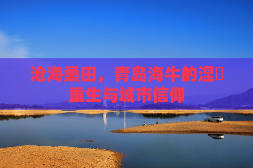 沧海桑田，青岛海牛的涅槃重生与城市信仰