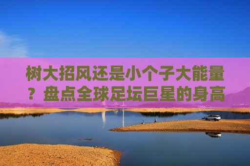 树大招风还是小个子大能量？盘点全球足坛巨星的身高数据与球场表现