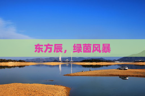 东方辰，绿茵风暴
