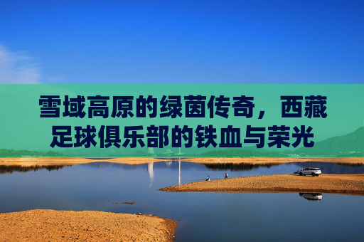 雪域高原的绿茵传奇，西藏足球俱乐部的铁血与荣光