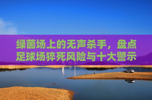 绿茵场上的无声杀手，盘点足球场猝死风险与十大警示