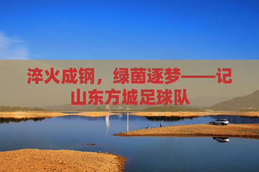 淬火成钢，绿茵逐梦——记山东方城足球队