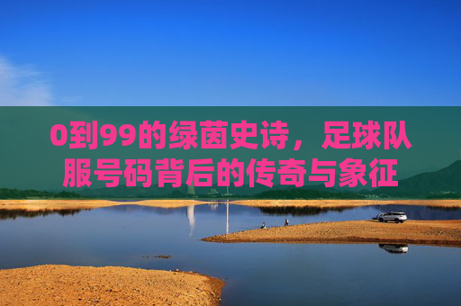 0到99的绿茵史诗，足球队服号码背后的传奇与象征