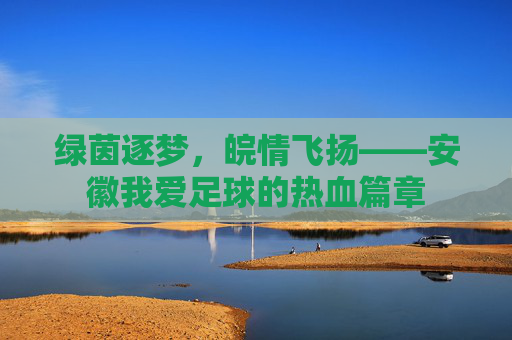 绿茵逐梦，皖情飞扬——安徽我爱足球的热血篇章