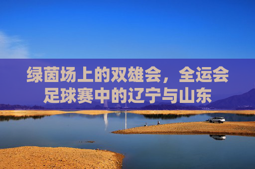 绿茵场上的双雄会，全运会足球赛中的辽宁与山东