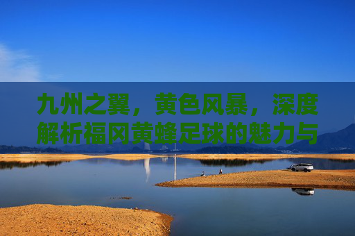 九州之翼，黄色风暴，深度解析福冈黄蜂足球的魅力与精神