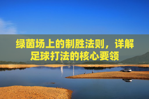 绿茵场上的制胜法则，详解足球打法的核心要领