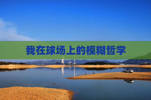 我在球场上的模糊哲学