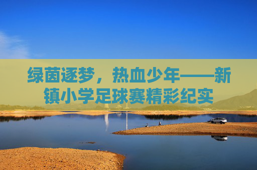 绿茵逐梦，热血少年——新镇小学足球赛精彩纪实