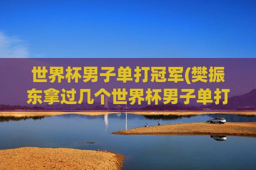 世界杯男子单打冠军(樊振东拿过几个世界杯男子单打冠军)