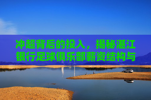 冲超背后的投入,揭秘湛江银行足球俱乐部薪资结构与市场行情