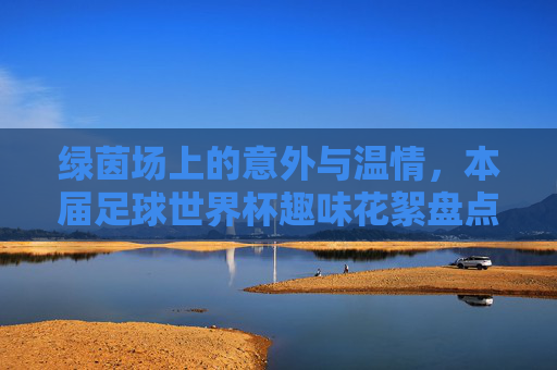 绿茵场上的意外与温情,本届足球世界杯趣味花絮盘点