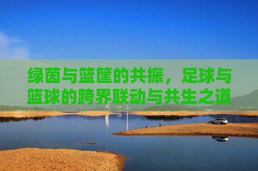 绿茵与篮筐的共振,足球与篮球的跨界联动与共生之道